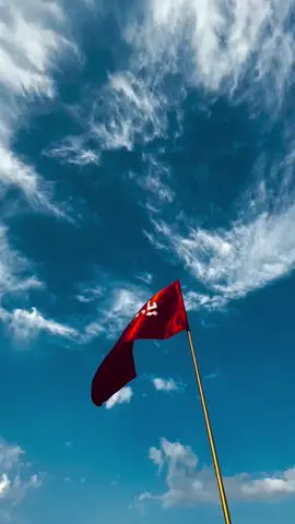 #يازينب 