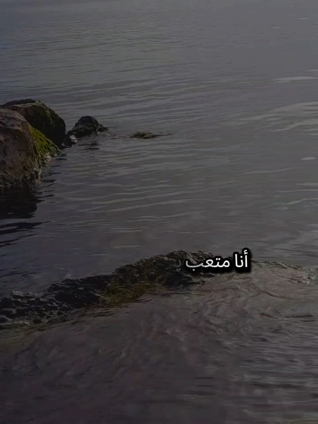 أنا متعب يا أمي فتحمليني كل الأشياء حولي تبكيني كل درب أسلكه يشقيني إذا ما شكوت إليك من ذا الذي يواسيني  #تركيا #اسطنبول #الغربة #مغترب #شعروقصايد 