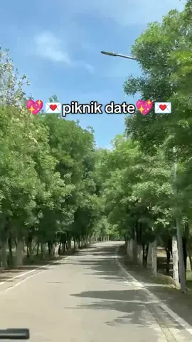 sonunda dönem bitmeden yapılan bir piknikkkk  #piknik #diyarbakır #fyp #fyppppppppppppppppppppppp #fypage #kesfet 