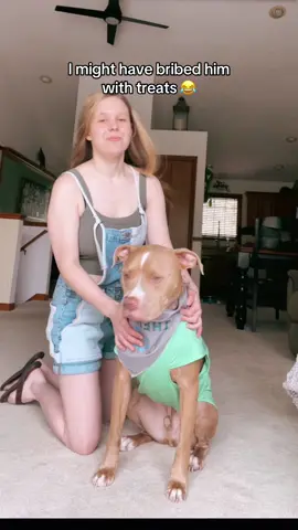 #trending #tiktok #goodvibes #tiktokvibes #vibes #dogmom #pitbullmom #pibblemom #puppy #pitty #pibble #pitbull #pitbullsoftiktok #puppytiktok 