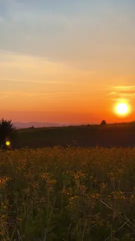 last nights tn/ nc mountain sunset with no audio💛