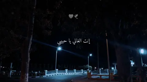 انت الغالي ياحبيبي 🤍🕊#عمرو_دياب #flyp #📷📷 #viral #foryou #انت_الغالي #🤍🕊@Amr Diab 