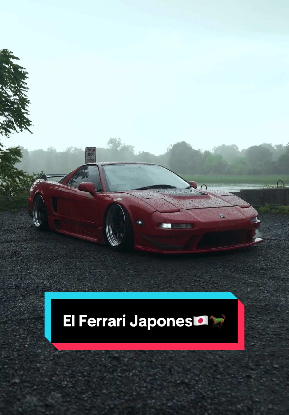 El Ferrari Japonés 🐎🇯🇵 #mrsarky #coches #autos #Hondansx #ferrari #ferrarijapones #acuransx #nsx #trend #fyp #parati #motivation #honda #acura #jdm #tunning 