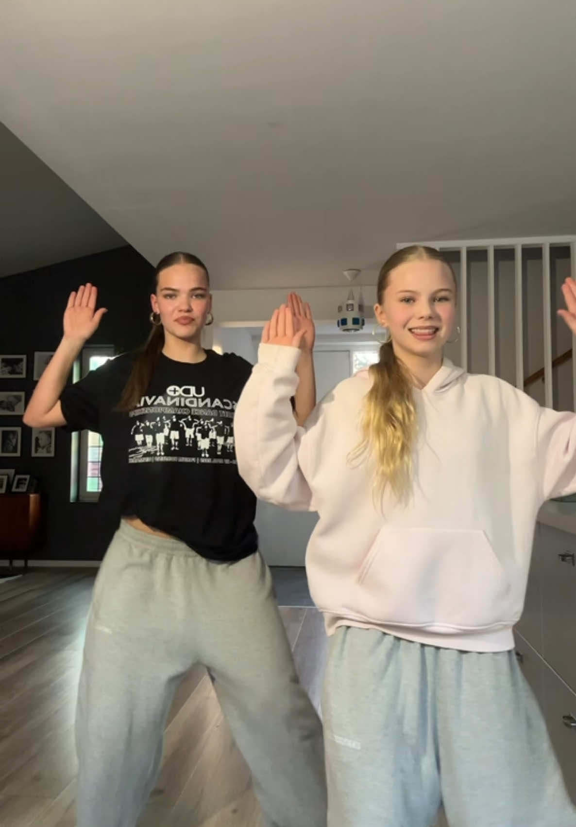Shake it to the max😛 #lilbro #duo #dancehall #fyp @Sigurrós 🇮🇸😻 (DC: @Davy&Melo✨ )