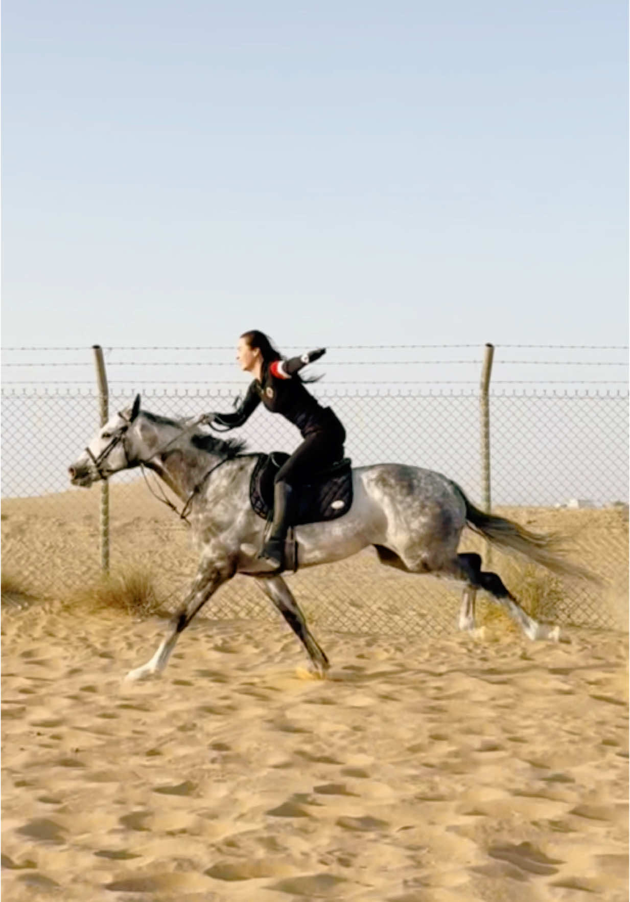 Dubai desert horse riding #foryoupage #muddassar9 #horse #fyp #dubai🇦🇪 