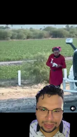 El secretito más guardado de los traileros.