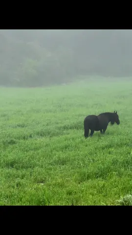 Subax Kamid Ah Subax Yadi Ugu Qurux Badnay Nolosheyda Iyo Vidiogi Ugu Quruxda Badna Aan Abid duubo☺️ALXAMDULILLAH#somalitiktok #muqdisho #xamar 