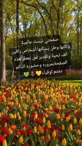 مساءكم جميل كجمال قلوبكم 🤍#hadjia_10_3♥️ممكن اكسبلور 🥀#تحياتي_لجميع_المشاهدين_والمتابعين #لقطه_فائقه_الثبات 