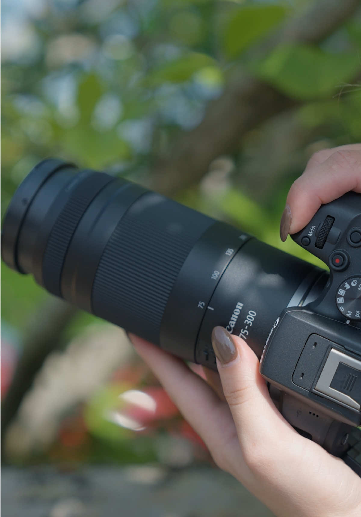 Say hello to the new Canon RF 75-300mm F4-5.6 lens – an ideal choice for beginners who want to get closer to the action without the bulk. Lightweight at just 507g, this compact telephoto zoom is perfect for wildlife, sports, and everyday adventures.A great first step into longer focal lengths with the RF system!   Available now at www.wilkinson.co.uk   YouTube review coming soon!   #Canon #CanonRF #CanonRFLens #PhotographyGear #BeginnerPhotography @CanonEMEA 
