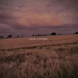 Бонд с кнопкой - Кухни