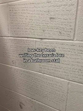 Big fan of whatever this is #terraria #terraria4ever #terrariamemesbr #wtfamidoing #donotdoathome 