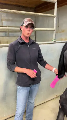 PH has bottomed out for both mommas! Let’s see who has their baby 1st….Red or Avalon! #fyp #viral #barnlifeisthebestlife #farmlifeisthebestlife #toddlersoftiktok #farmlife #horse #foalingseason #horsesoftiktok 