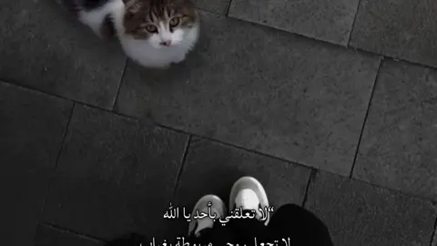 #fyp #video #Vir #fypシ゚viral #foryou #بنغازي_ليبيا🇱🇾 #ليبيا🇱🇾 #المرج_بنغازي_البيضاء_طرابلس_ليبيا #شعب_الصيني_ماله_حل😂😂 