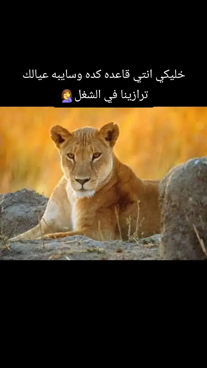 خليكي انتي قاعده كده وسايبه عيالك ترازينا في الشغل