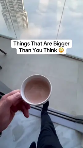 Thing That Are Bigger Than You Think 😮🌏 #fyp #xyzbca #viral #fypシ #foryoupage 