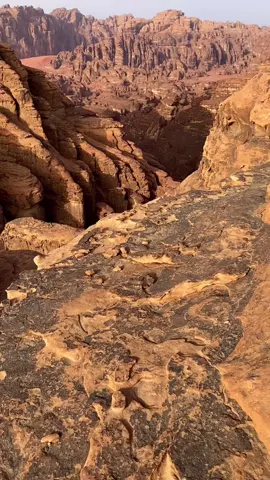 #مقناص #شمال #علقان #الزيته #حايل_بعد_حيي💕 #النفود 