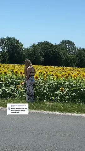 Réponse à @Khan ao ral da zmaka badlavi 🌻🤣🤣🤣🙈Lewanáy#summer2024 #humor #funnytiktok #🤣🤣 
