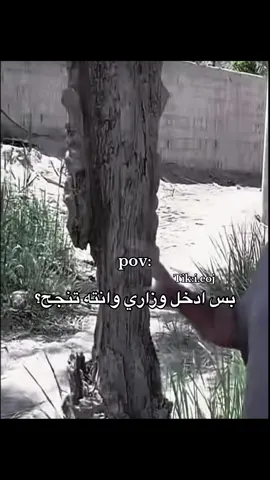 بس ادخل وزاري وانته تنجح🗿💔💔💔💔💔💔#explore #fyppppppppppppppppppppppp #ضغوطات_دراسية #ثالث_متوسط #سادس_احيائي #امتحانات #رياكشنات_مطلوبه #رياكشنات_مضحكه_منوعه #فيديوهات_مضحكة #لايك__explore___ #لايك_متابعه_اكسبلور #شعب_الصيني_ماله_حل😂😂 