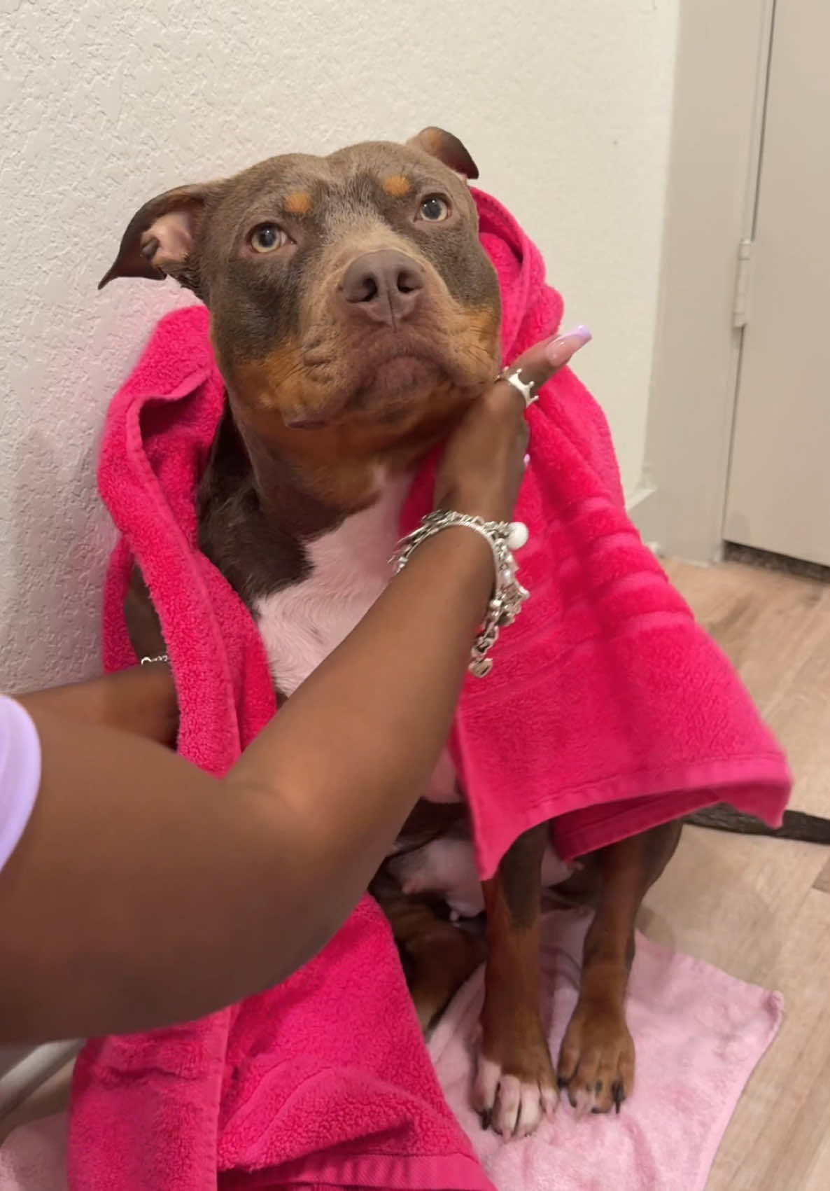 Its Bath Time For Snoh 💕🌸 Lets Give Her An Oatmeal Bath . #bath #bathtime #dogbath #asmr #satisfying #aesthetic #pink 