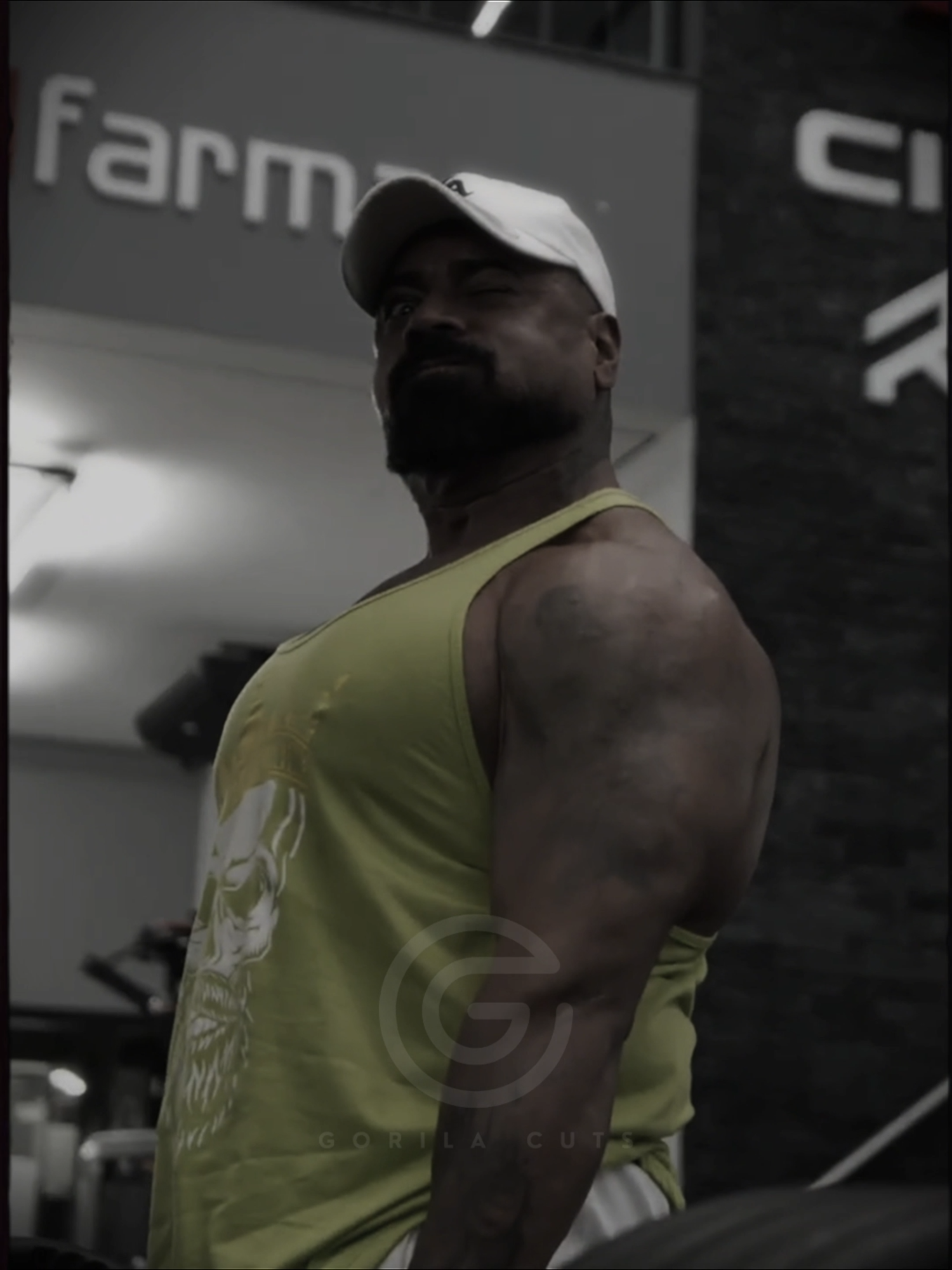 Mesmo Sem Condições de Vencer... 💪🏻🏆 #maromba #academia #musculação #motivacao