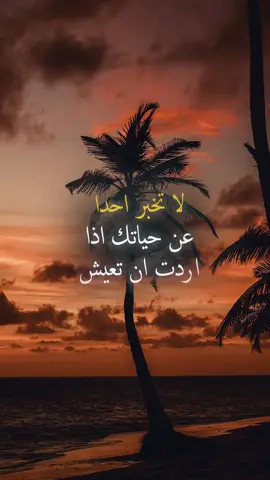 @hikam_444 لا تخبر احدا عن حياتك اذا اردت ان تعيش سعيدا #حكمة #خواطر #اكسبلور #علم_النفس #تطوير_الذات #كلام_من_ذهب #اطمئن #اقتباسات_عبارات_خواطر #تحفيزات_إيجابية #اقتباسات #explore #viral_video #psychology #motivation #fyp