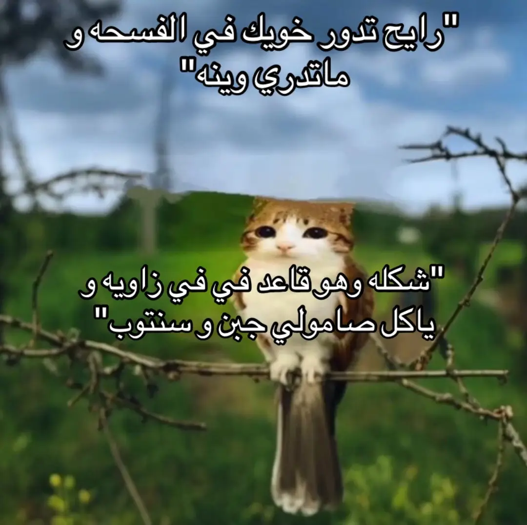 الابتدائي!#مالي_خلق_احط_هاشتاقات #foryou #fyp #اختبار #خويك #صامولي #زاويه #اكل 
