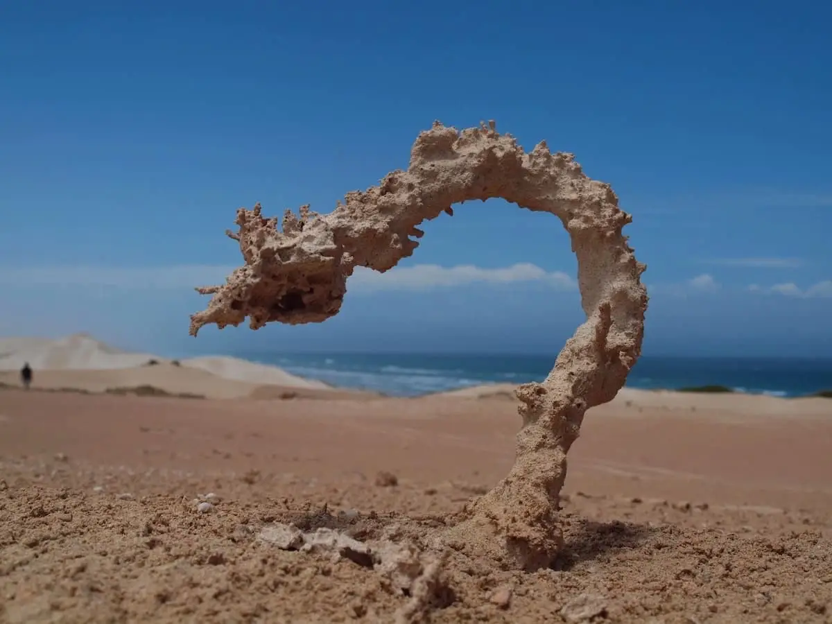 Fulgurites are glassy, tubular structures formed when lightning strikes sand, soil, or rock, instantly melting and fusing the material. They are typically hollow, branching, and range from a few centimeters to several meters long. Their surfaces are often rough, while interiors are smoother. Fulgurites preserve the path of lightning and provide insights into high-energy natural processes. #fulgurite #lightning #deshrine 