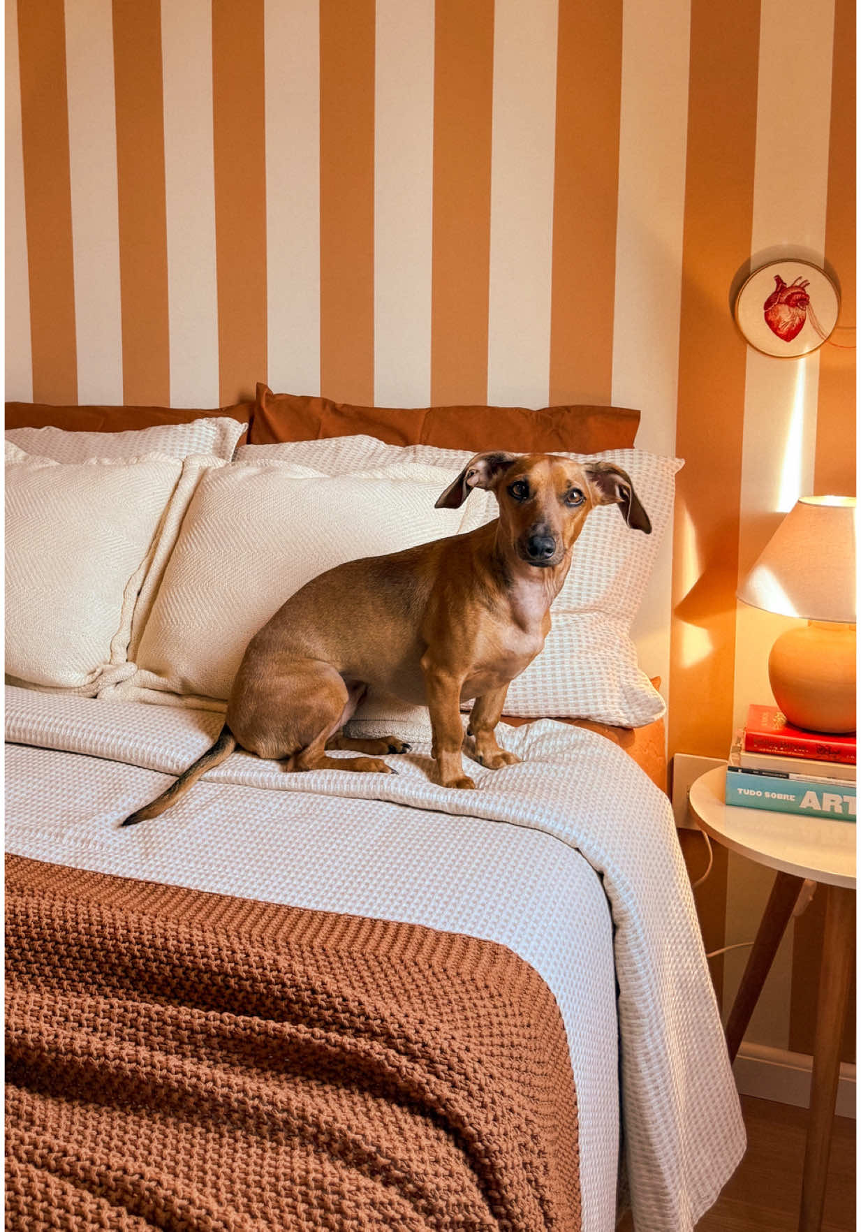 esse é o truque que eu sempre uso pra deixar a cama ainda mais confortável por aqui :) já sabia disso? #camaposta #camaarrumada #camaconfortável #roupadecama #edredom 