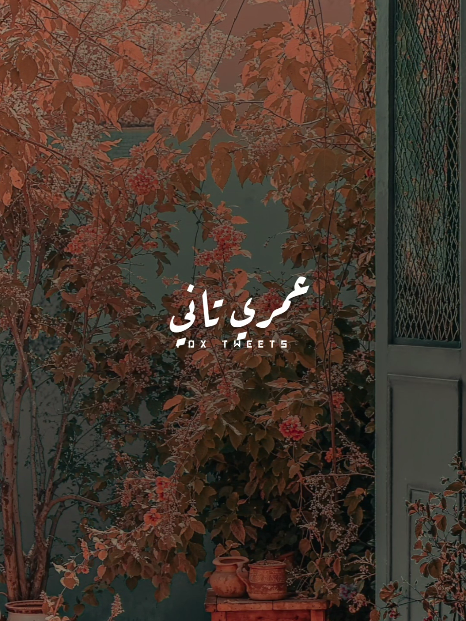 نسيت معاك انا ابقى مين كأني عشت مرتين ❤️ #CapCut #fpyシ #fpy #explore #foryou #شيماء_المغربي #اجابة_السؤال 