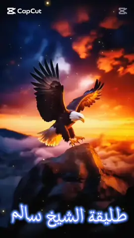 لم يكن رجلًا يُكسر... بل أسطورة تمشي بثبات، يخشاها من لا يخشى أحدًا. حين صمت، تحدثت كل الأشياء بصوته... وحين غضب، اختبأت الحقيقة في الزوايا. لم يحتج أن يثبت نفسه، فالعظمة لا تُشرح، والهيبة لا تُستعرض. هو ذلك الذي لا يُهزم، وإن رحل... بقيت هي تلاحق أثر قدميه في الذاكرة. 