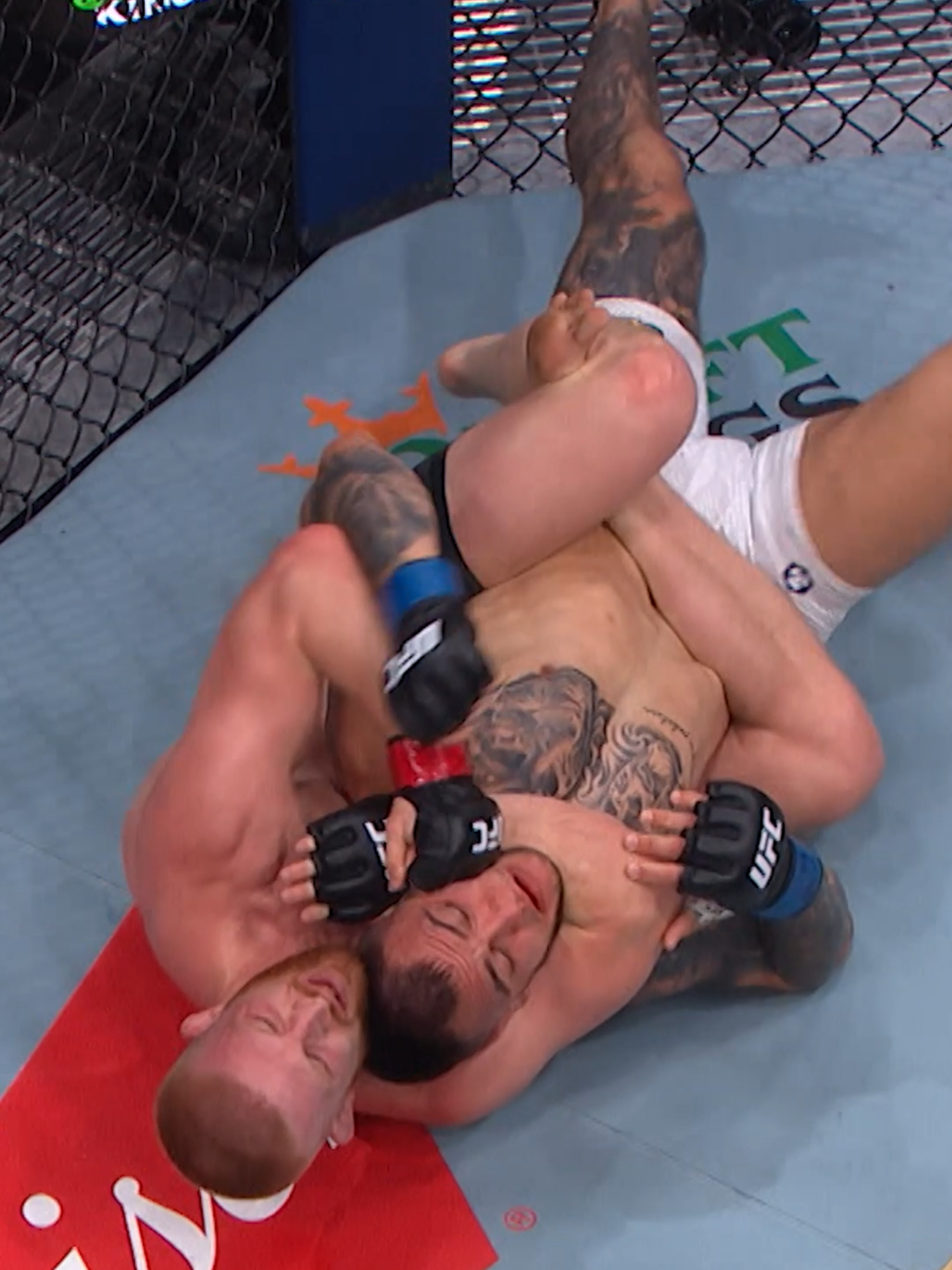 Bo Nickal is putting his 7-0 unbeaten streak on the line this Saturday 👊 #UFC #mma #bonickal