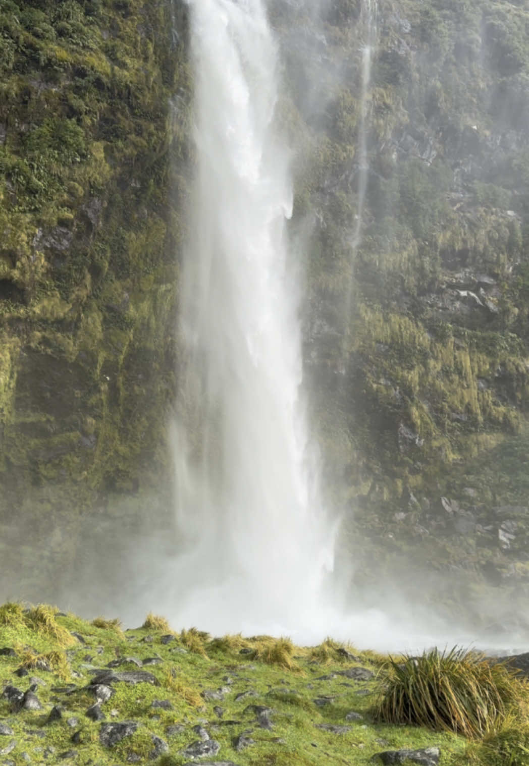 At 1904 ft in height, here presents Sutherland falls deep in Fiordland national park, New Zealand #fyp #milford #nz #fiordland #foryou #Hiking 