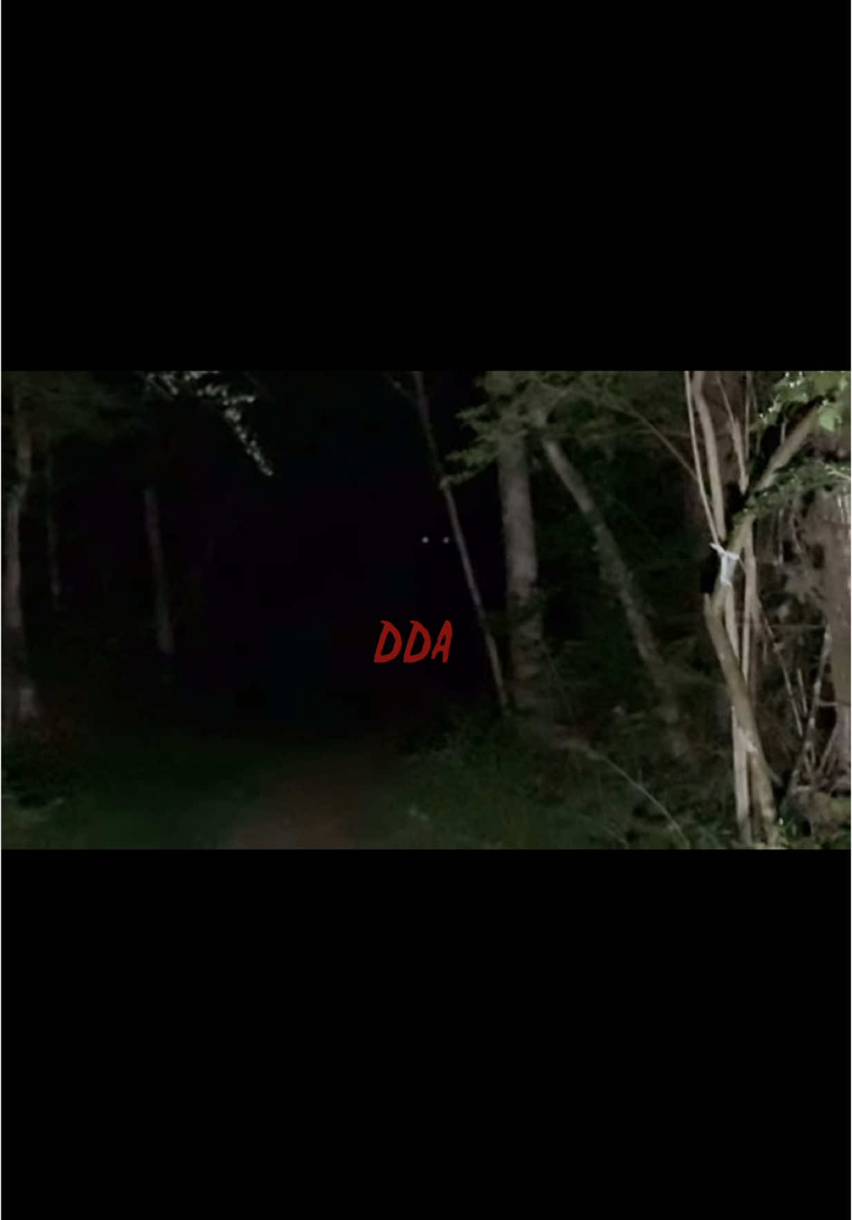 I explore forest in Ohio at night searching for the paranormal and supernatural! As I explore a set of eyes  appear and watch me while in the background a family pleads for their lives! Unsure if this thing is making the sounds or if they are real I refuse to step forward