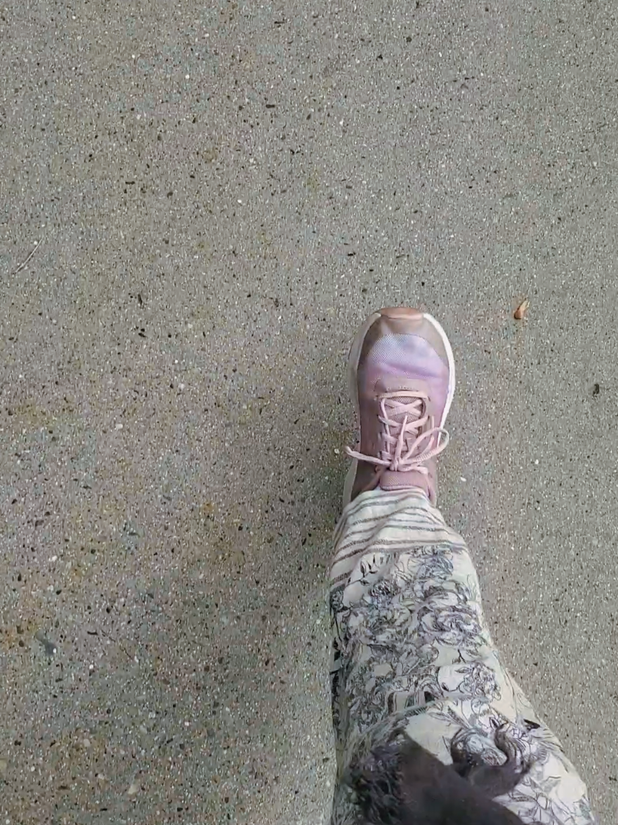 @Haley DeVries Doing the challange and writing when I can! Day 5! . #Vlog #writing #writer #writersoftiktok #writingvlog #nature #stepchallenge #10ksteps #author #aspiringauthors #motivation #vlogging #writingtips #writingvlog #authorsoftiktok #BookTok #booktoker #authortok #dailyvlog #routine #day5 #trend #trending #challange #writinginspiration 
