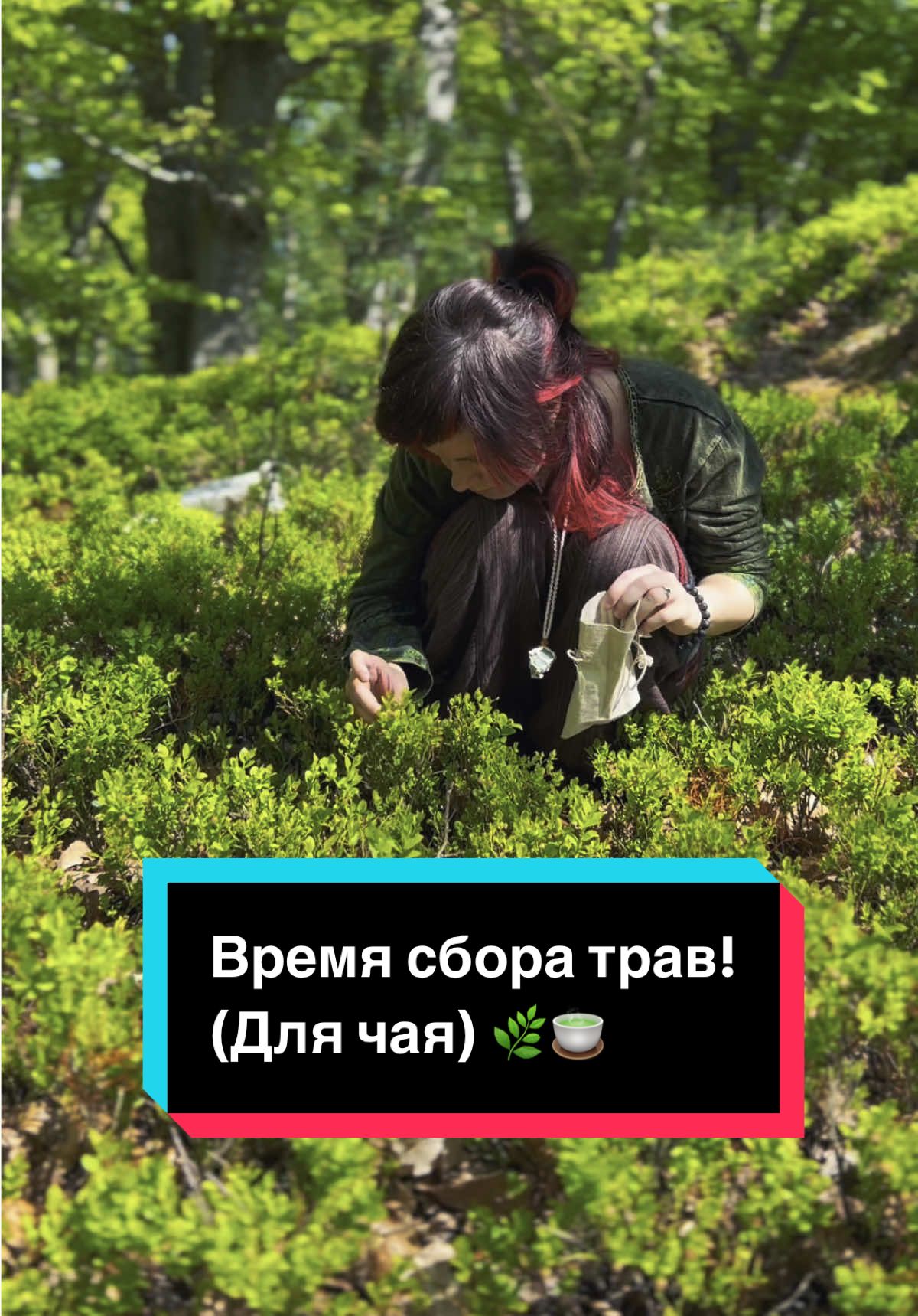 #CapCut Когда пойдетет собирать, делайте это с уважением к природе! Не жадничайте, не старайтесь все собрать, а старайтесь собрать так, чтобы не было заметно «следов человека». #goblincore #травница🍄🐸🕯️ #релаксвидео #forest #природа #чай #травы #сбортрав 