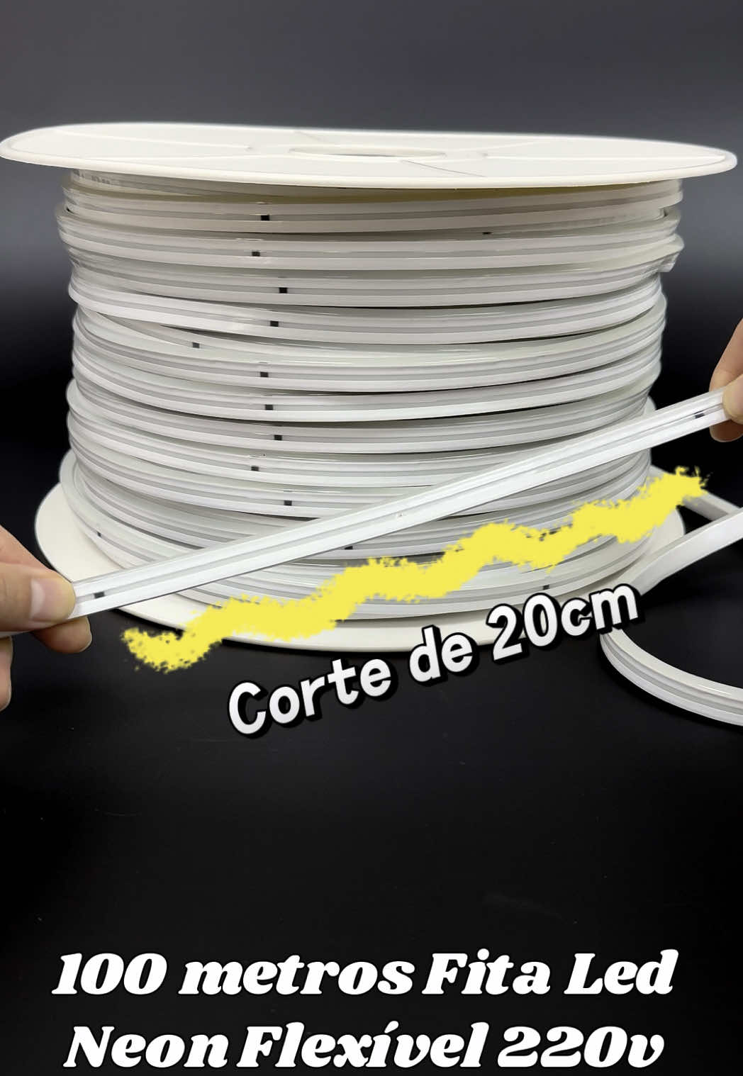 RL Lighting 100 Metros Fita Led Neon Flexível 220v