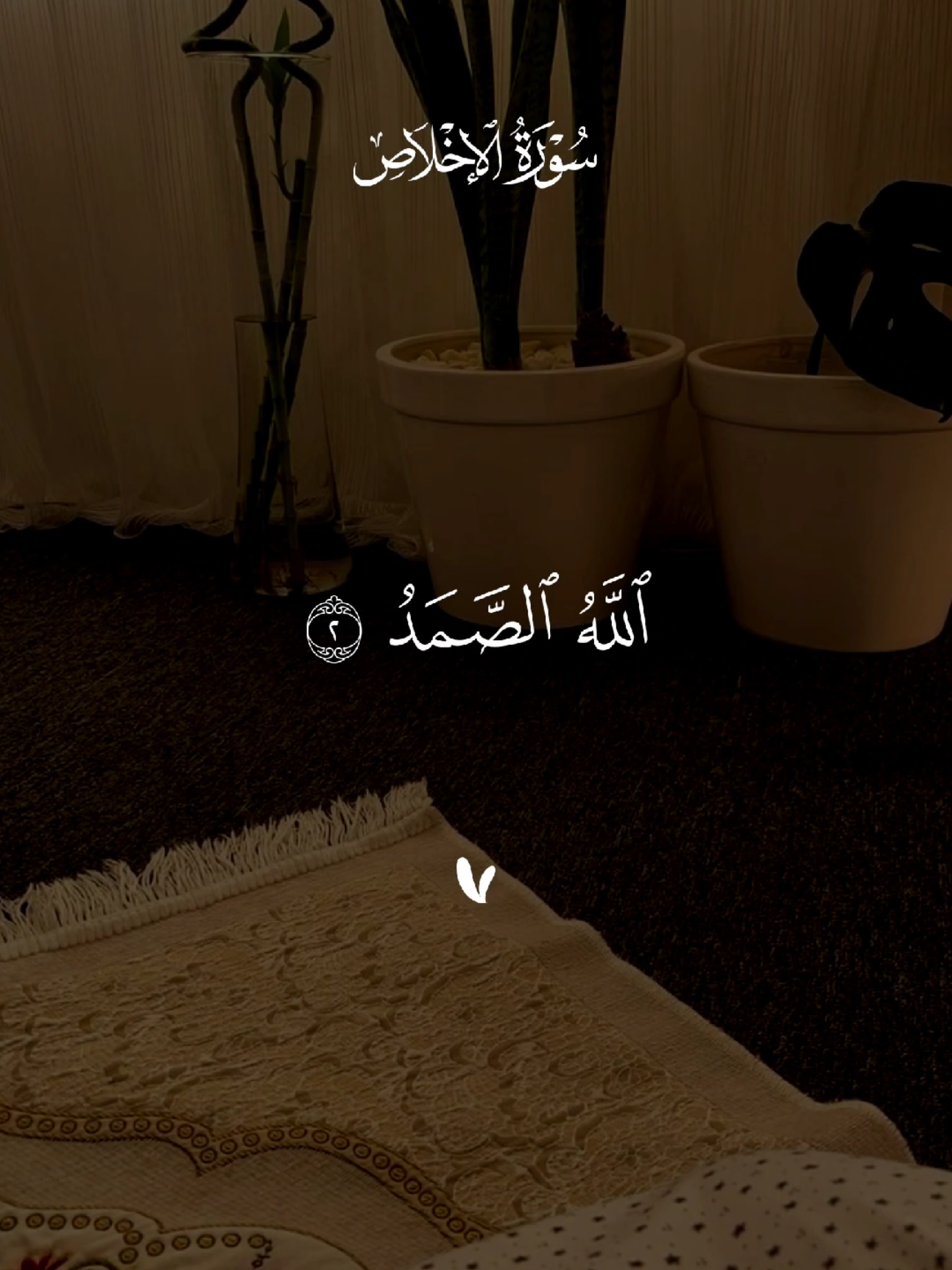 #quran #qu_ran_n #القرآن #qu_ran_n؛؛قرآن #quran_alkarim #القران_الكريم #quran #qu_ran_n؛؛قرآن #quran_114st 