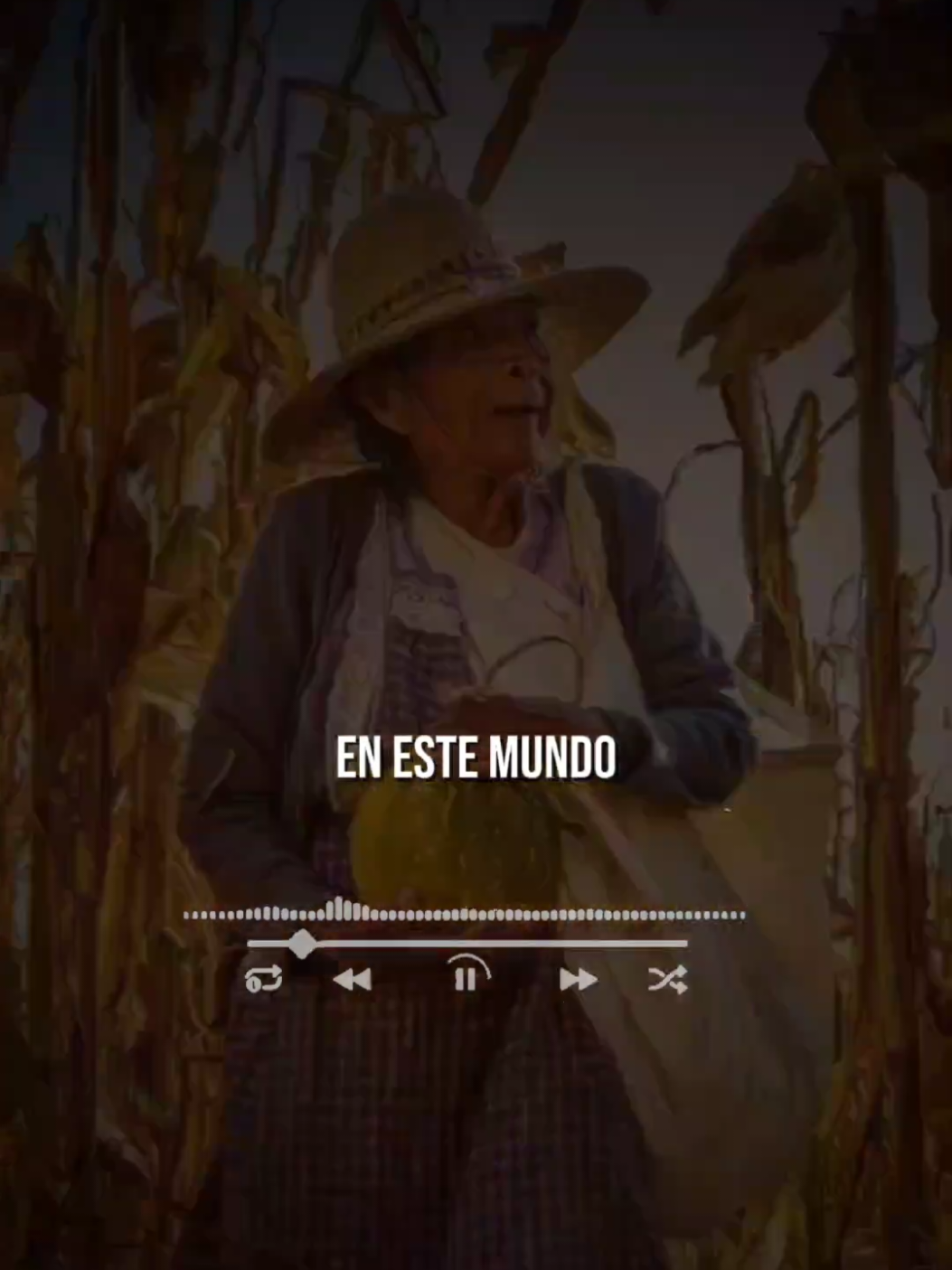 para mí madre #madre #madres #diadelasmadres #estados #estadosparawhatsapp #rancheras #regionalmexicano #regionalcolombiano #instagram #mz #popular #corridos #fyp #fypシ #corridoschingones #viralvideotiktok #Love #viral #banda #dance #musica #viralvideos #lomejorestallegando 