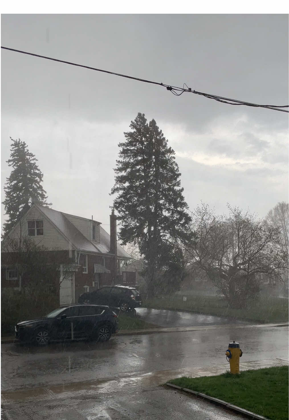 #storm #weather #rain #nature #toronto #canada_life🇨🇦 