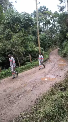 a onça kkk
