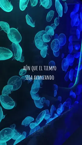 sus canciones duelen pero son geniales!😔✨ #electronica #tecno #nostalgia #cancion #canción #fyp #frase #amor #sanar 