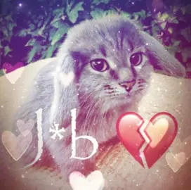 Job 💔 credit: catnip_deals #vro #trending #papyrusarea19 #riodejaneiro #fyp #foryoupage #fyppppppppppppppppppppppp #cat #catsoftiktok #sillycat 