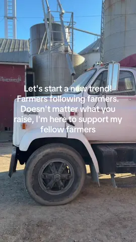 #farmtok #farmlife #smallfarm #farmanimals #mini #beefcattle 