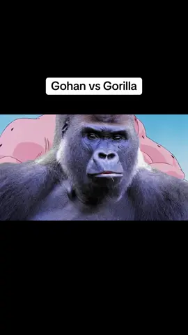 Gohan se une al reto de 100 Hombres vs 1 Gorilla ¿podrá ganar? #gorilla #100menvs1gorrila #100men #dbz #gohan #picoro #fandub #doblajelatino #doblajebarato #fandublatino #mexico #mexico🇲🇽 #fypシ゚viral #fyp #