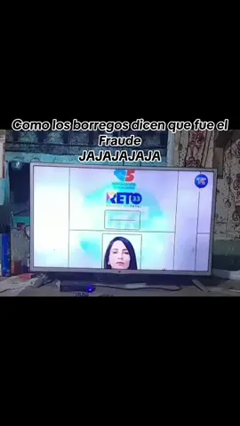 #viralvideos #fyp #paratii #noboapresidente #fraudeelectoral #borregos #locos #ADN #ecuador #gobiernoecuador #rafaelcorrea #cne #danielnoboa 