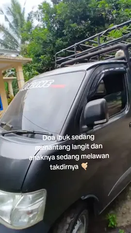 bismillah yg di 7 pulau Nias #kabnias #sapiqurban #semuaorang #juragansapi #fypシ゚bismillahfyp 
