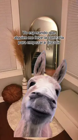 #Meme #MemeCut 