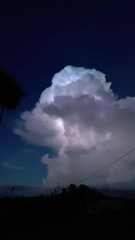 🖤⚡✨