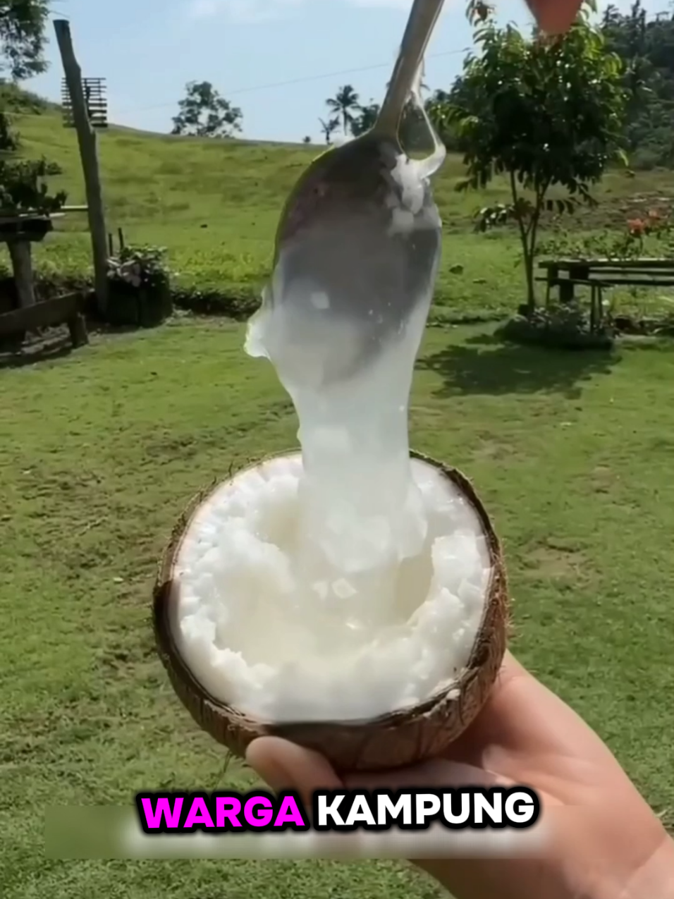 kelapa kopyor jely Thailand🥰 #fyp #foryoupage #fyppppppppppppppppppppppp #petanimuda #kelapa #affiliatemarketing 