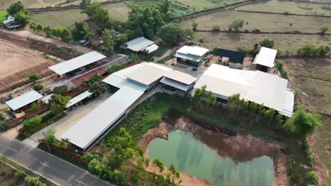 ธรรมชาติยามเช้าที่โรงงานของเรา 